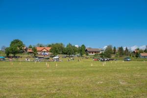 Utrinki iz 2. mednarodnega srečanja kočij in kočijažev na Grabah (8.5.2016) 1